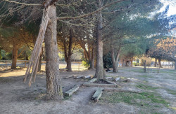 42614605816063821301639805341832874447842042n