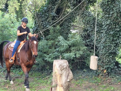 42616291722484605020268274291867339617006197n