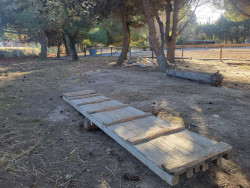 426170694787390560107882739841759413107284n