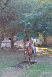 4261875634167098208101093994366511366755555n