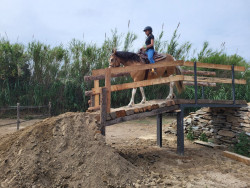 4261886113639352531236123313324398037450182n