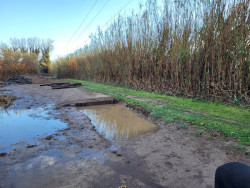 4262164407853676667856901053643045805216320n