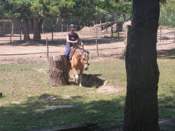 4262488901561457191255459303455773272071781n