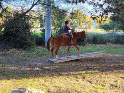 4266667462426878055776524788977790316364540n