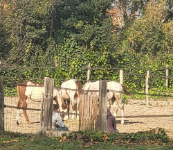 WhatsApp-Image-2024-12-03-a-12592048cc4ec9