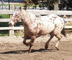 947017235910963681722839033645816513822720n