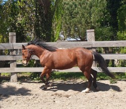 947060082531148890714502668764962586886144n