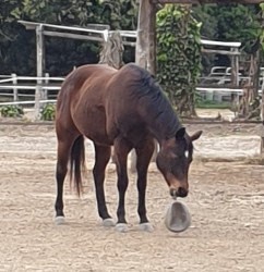 947070502764063635030931234164461732888576n