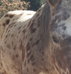 947473646791071795737298048530075731099648n