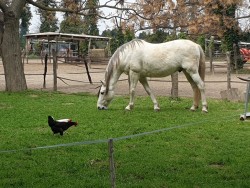 951002385554637820575735291102896367075328n