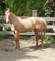 953877052359483844883556415050225177591808n