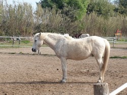 94654491666460457509277168180989346971648n