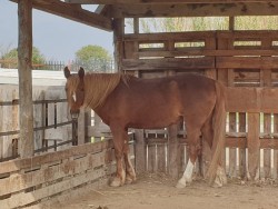 950977236554322685858327145187883744231424n