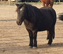 received374342217489731