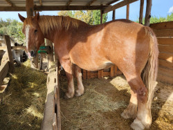 310951972440800401286037282910160197287782n