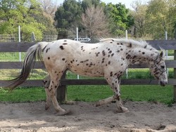 9213188929108357223256397416160033328594944n