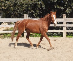 9470253126464098389231727310049456076881920n