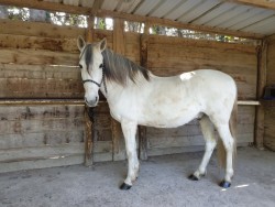 950198212997247243434265712040146988171264n