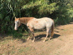 received449434566210858